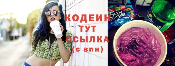 меф Вяземский