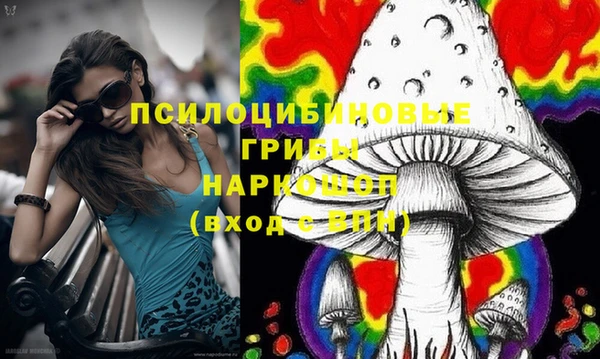 соль ск Вязники