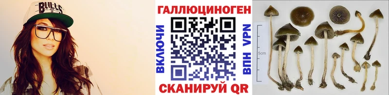 Псилоцибиновые грибы GOLDEN TEACHER  Купить закладки  Белая Калитва 